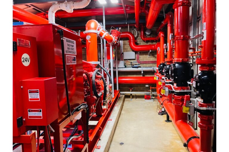 Untitled design (10)